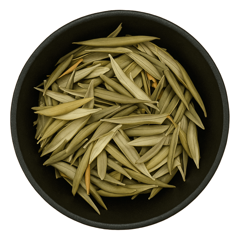 (Background Removed)