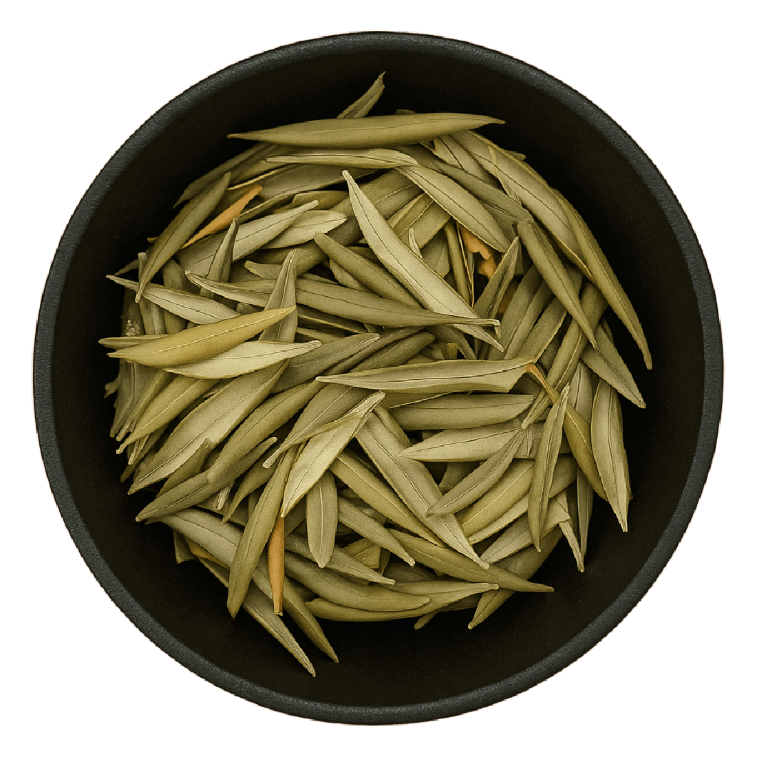 Olive Leaf Whole (Olea Europaea)