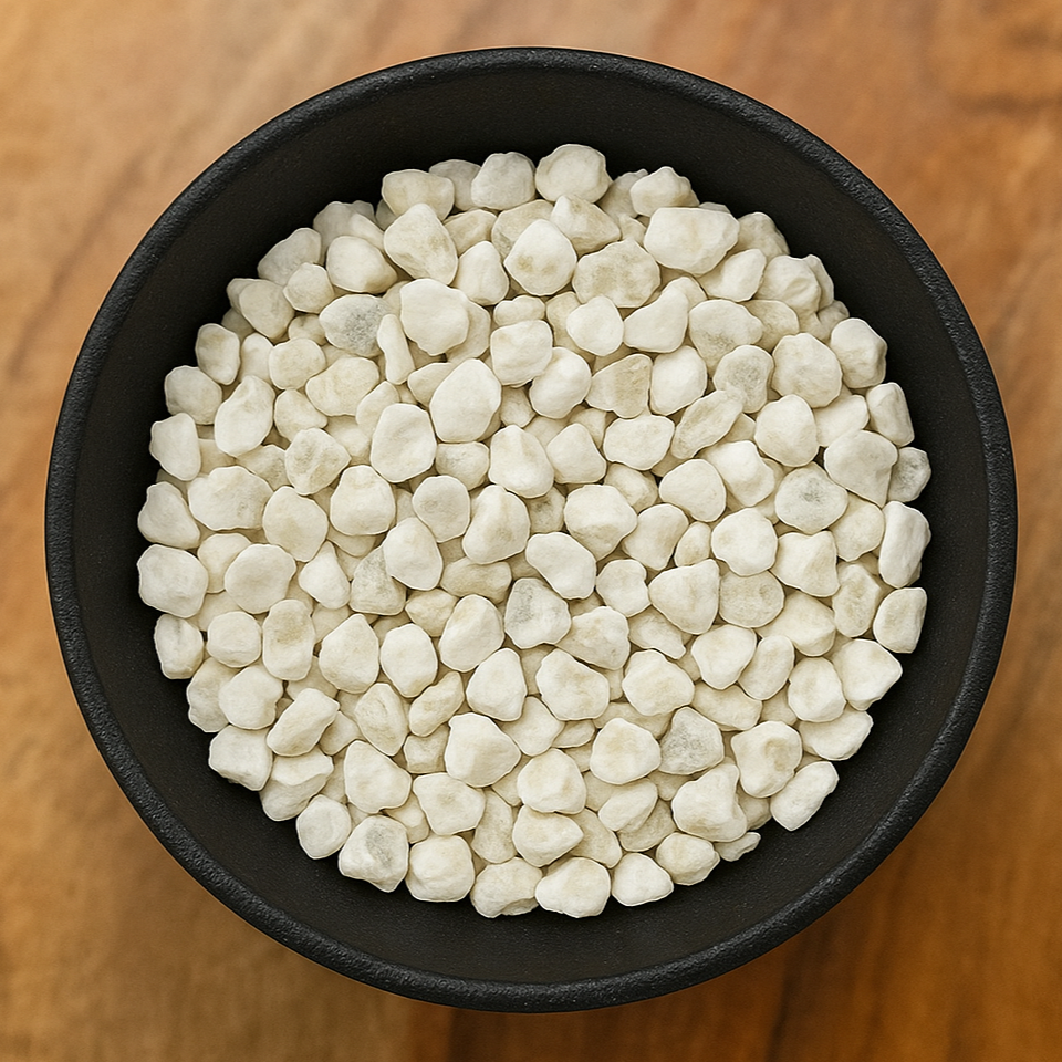 Oyster Shell Pieces (Ostrea Spp.)