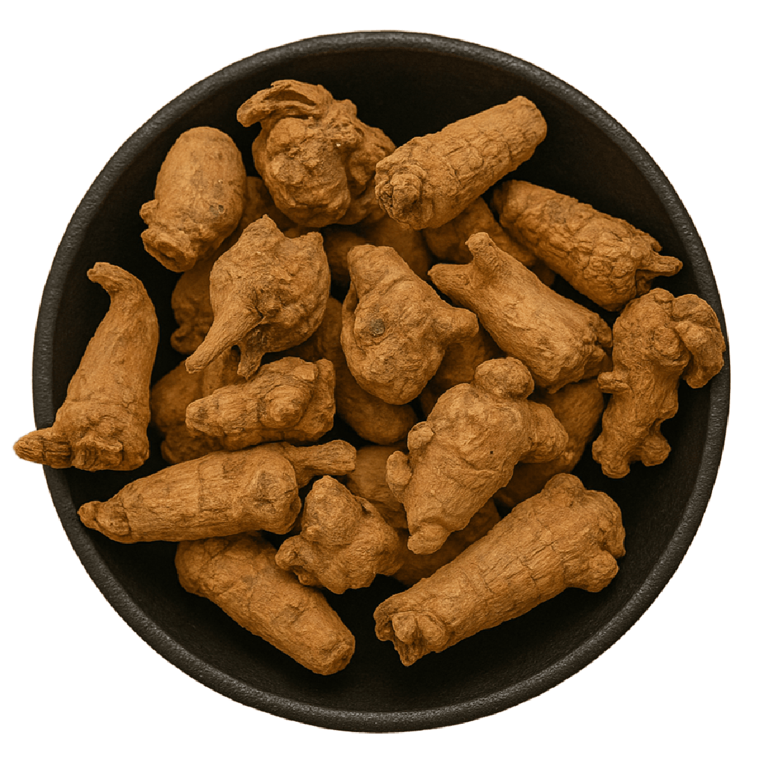 Panax Ginseng Root Whole (Panax Notoginseng)