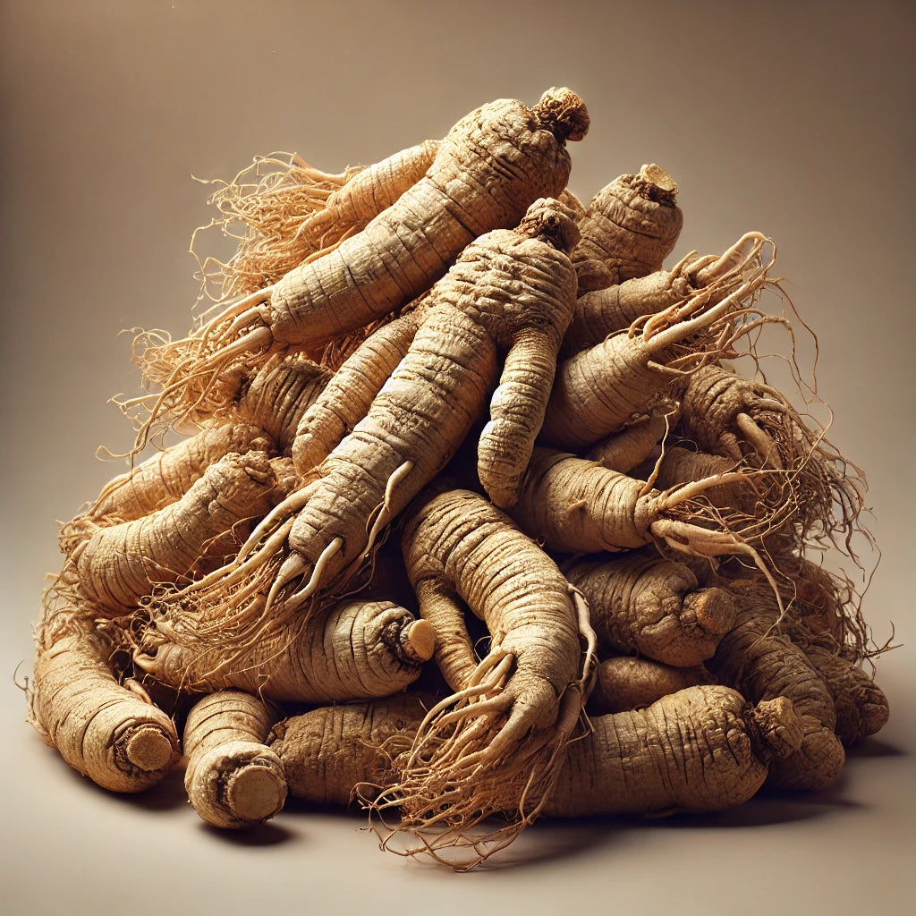 Panax Ginseng Root Whole (Panax Notoginseng)