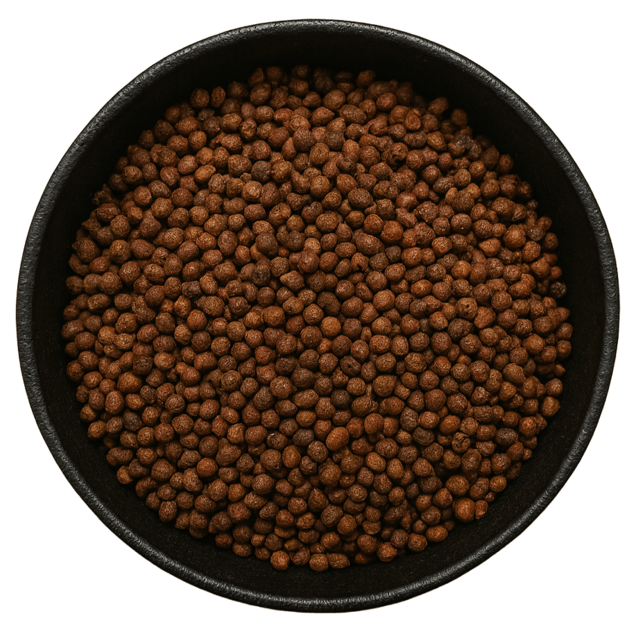 (Background Removed)