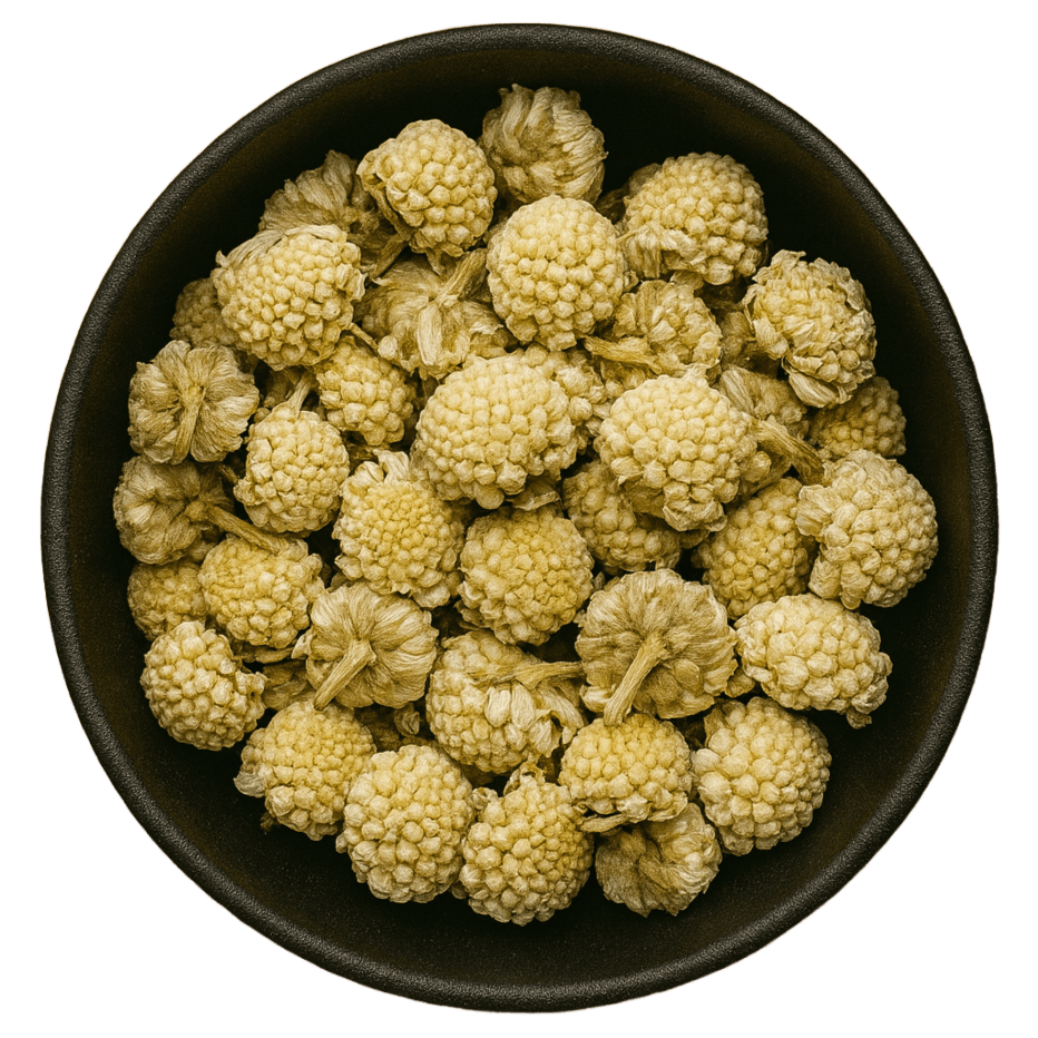 (Background Removed)