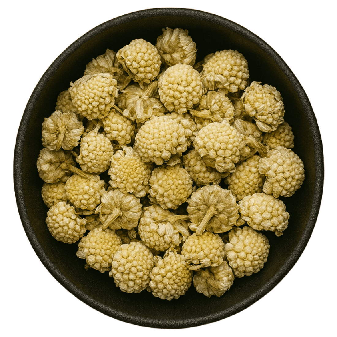 Paperbush Flower Whole (Edgeworthia Chrysantha)
