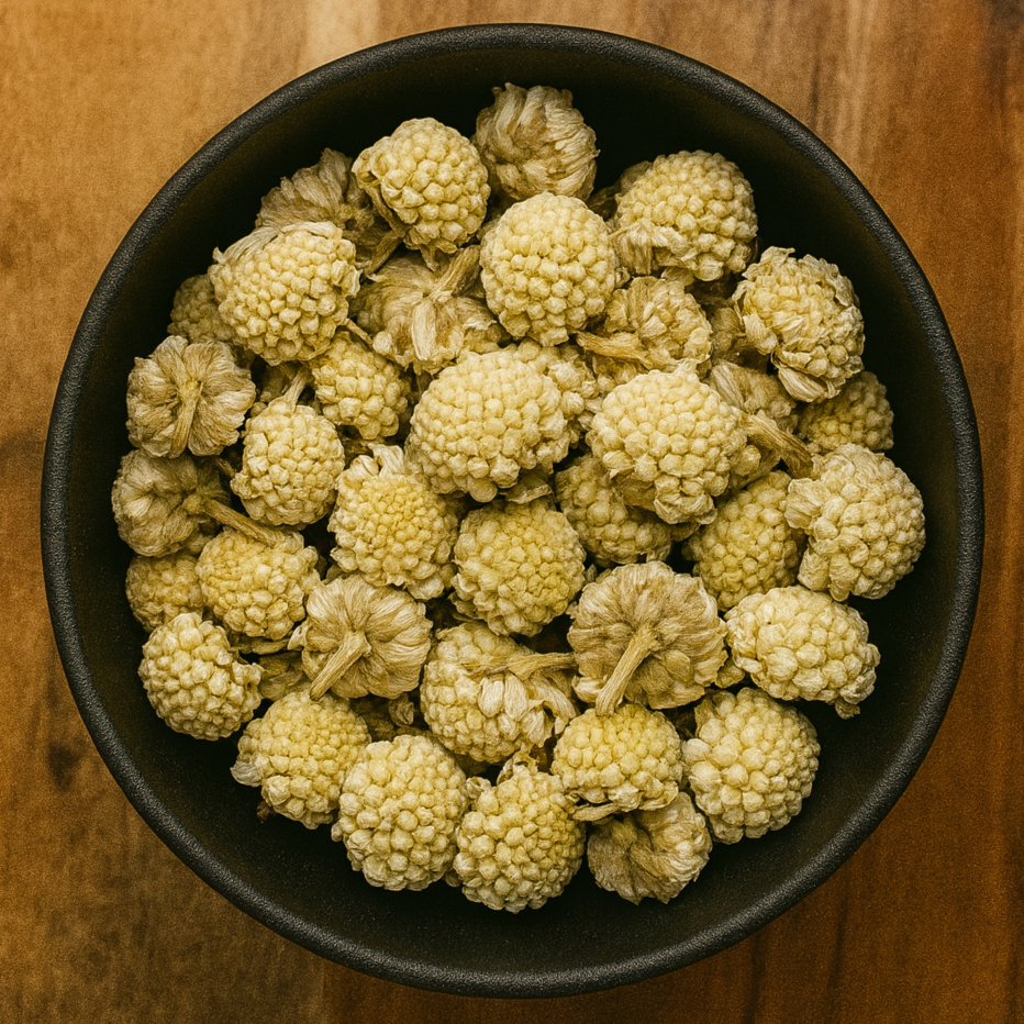 Paperbush Flower Whole (Edgeworthia Chrysantha)