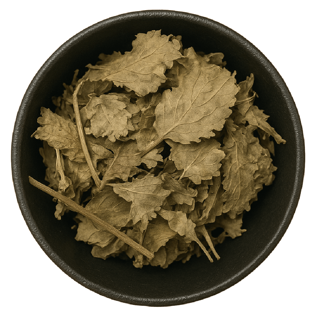Patchouli Leaves Whole (Pogostemon Cablin)