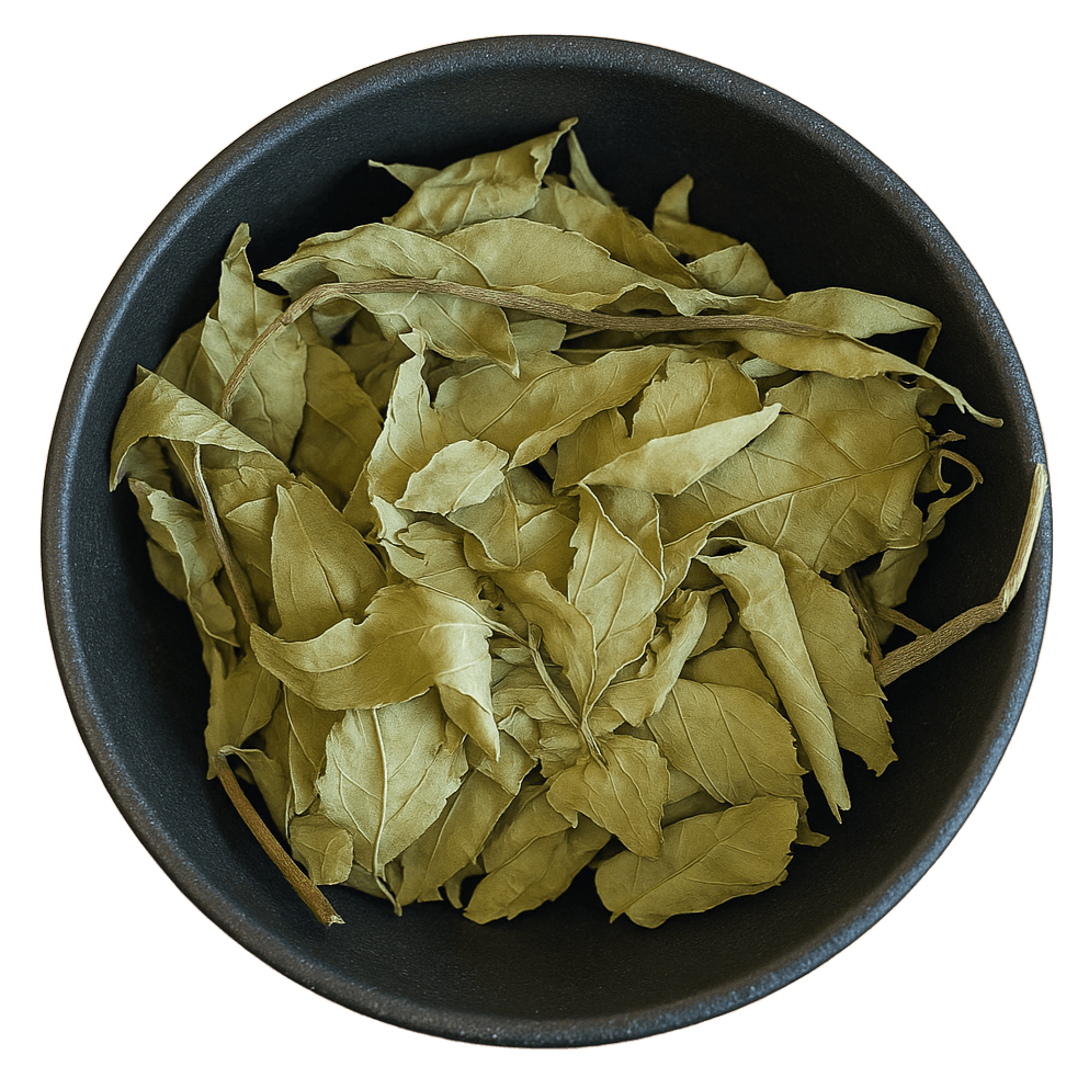 (Background Removed)