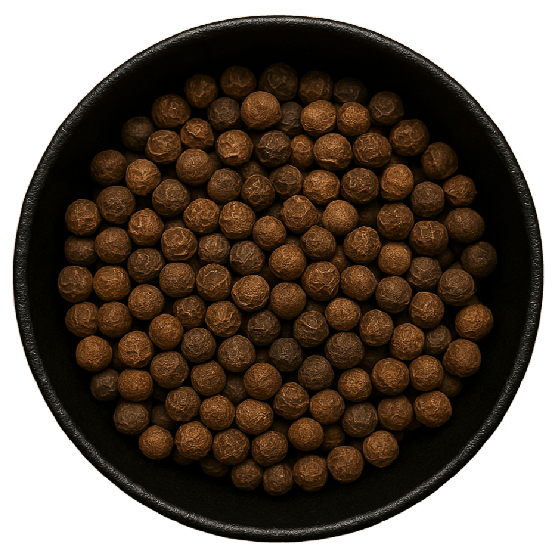 Phoenix Tree Seed Whole (Firmiana Simplex)