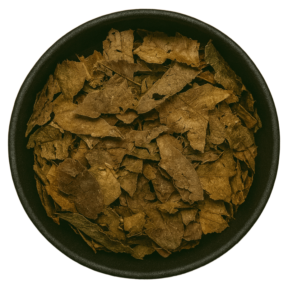 (Background Removed)