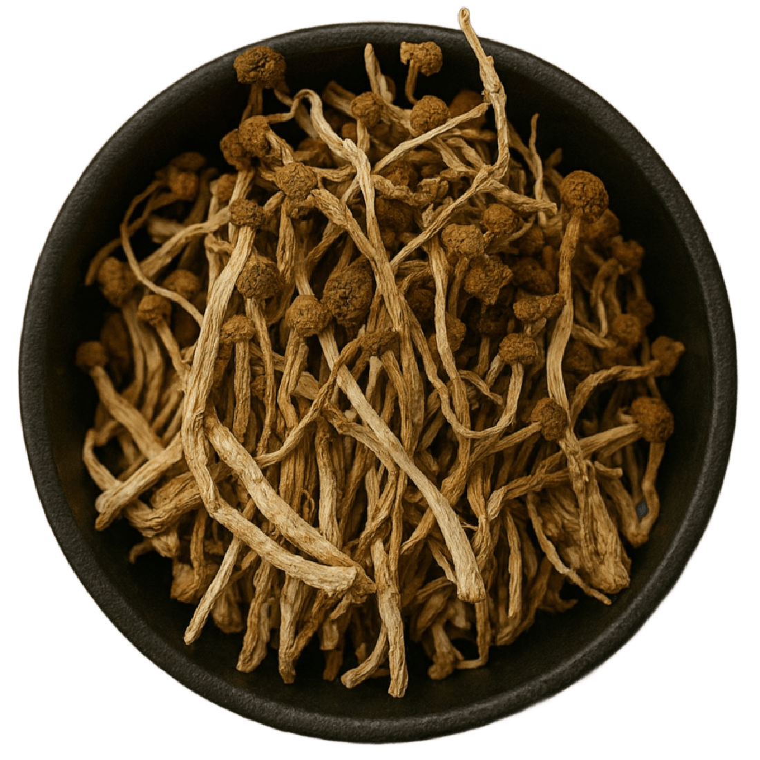 Poplar Mushroom Whole (Agrocybe Aegerita)