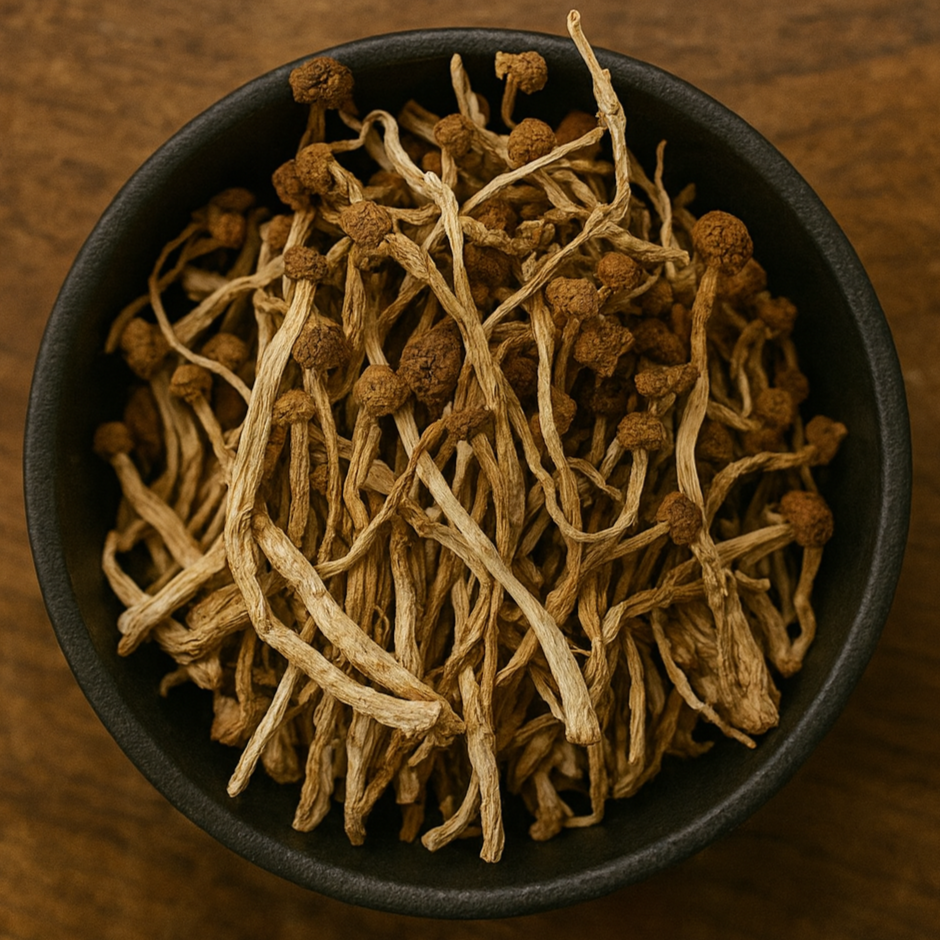 Poplar Mushroom Whole (Agrocybe Aegerita)