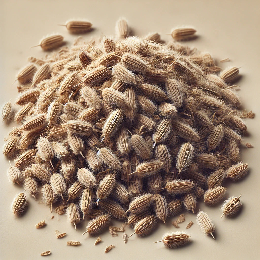 Psyllium Husks Whole (Plantago Ovata)