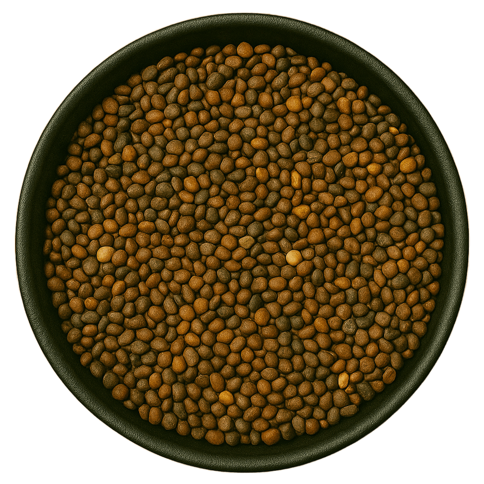 (Background Removed)