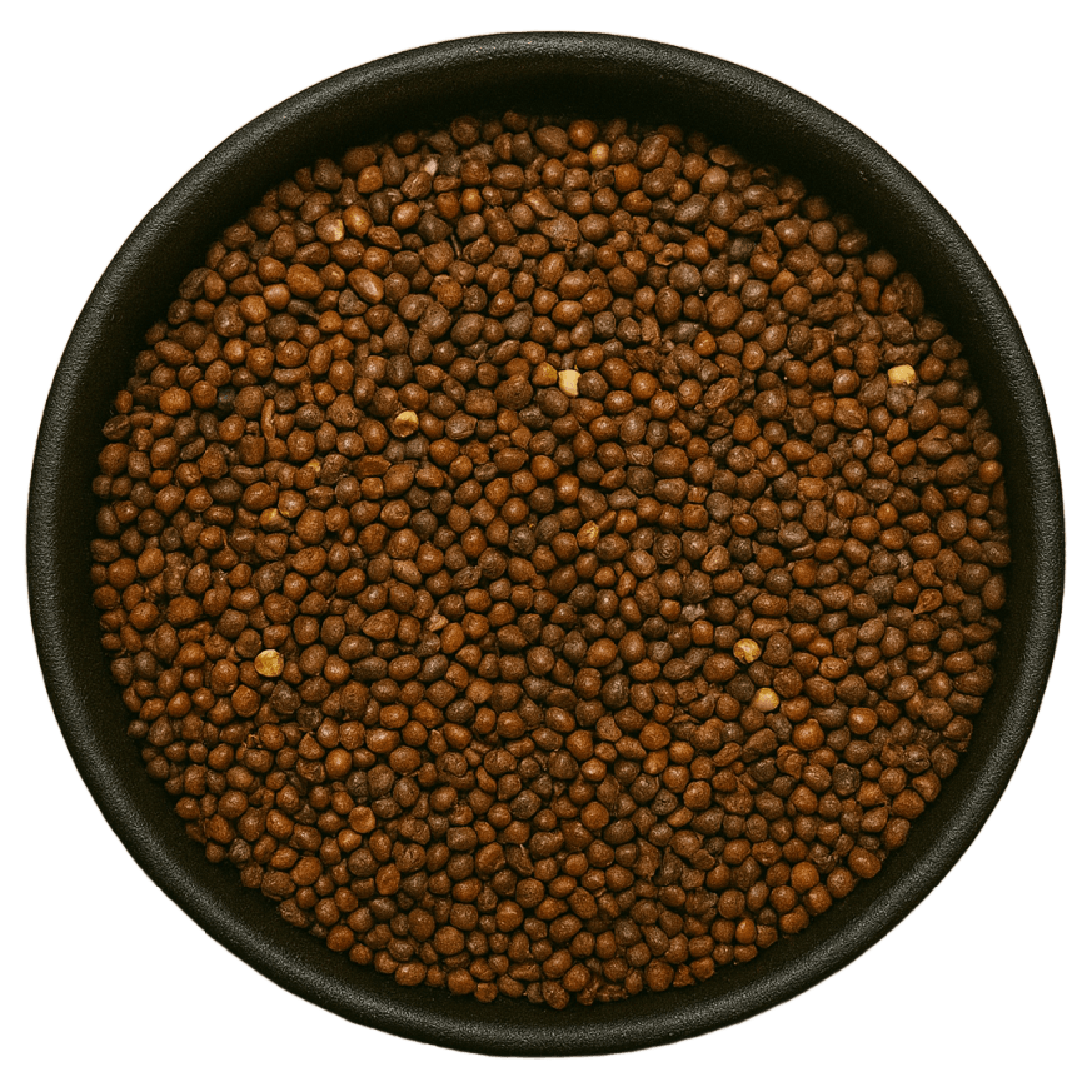 Radish Seed Whole (Raphanus Sativus)