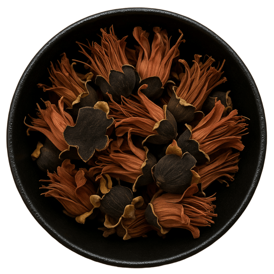 (Background Removed)