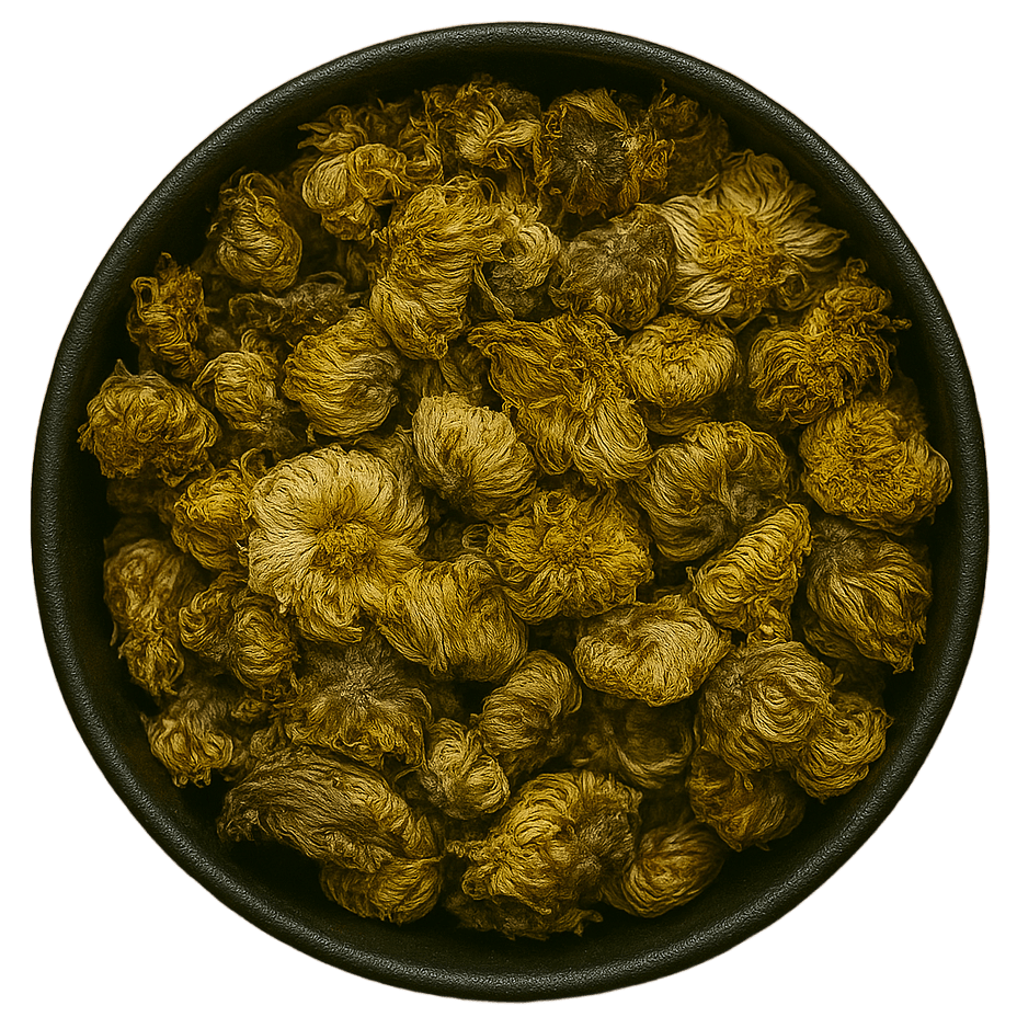 (Background Removed)