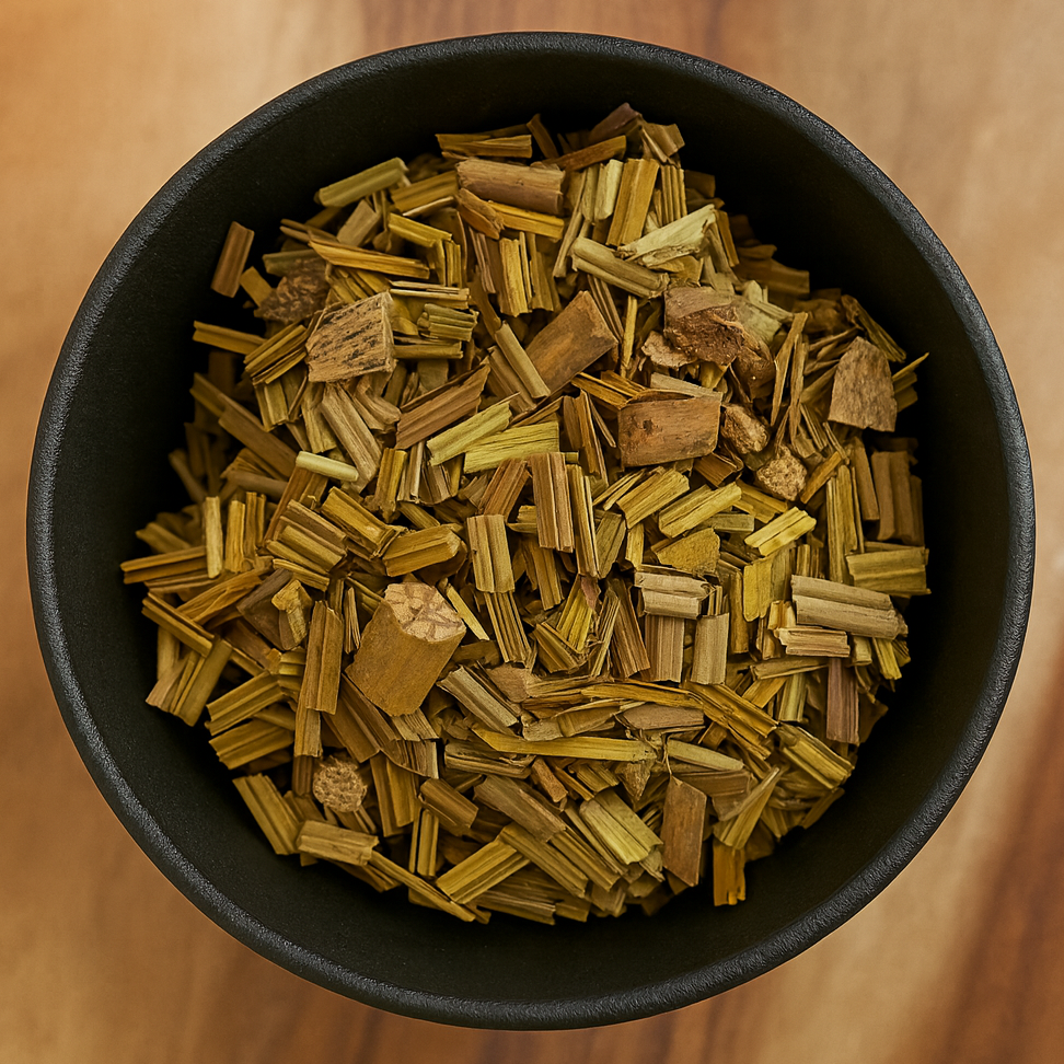 Sago Palm Leaf Cut (Cycas Revoluta)