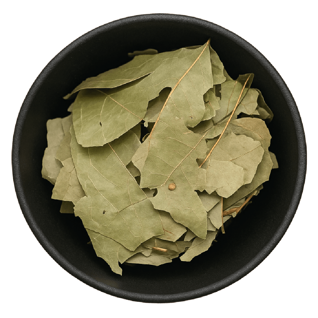 Sassafras Leaf Whole (Sassafras Albidium)