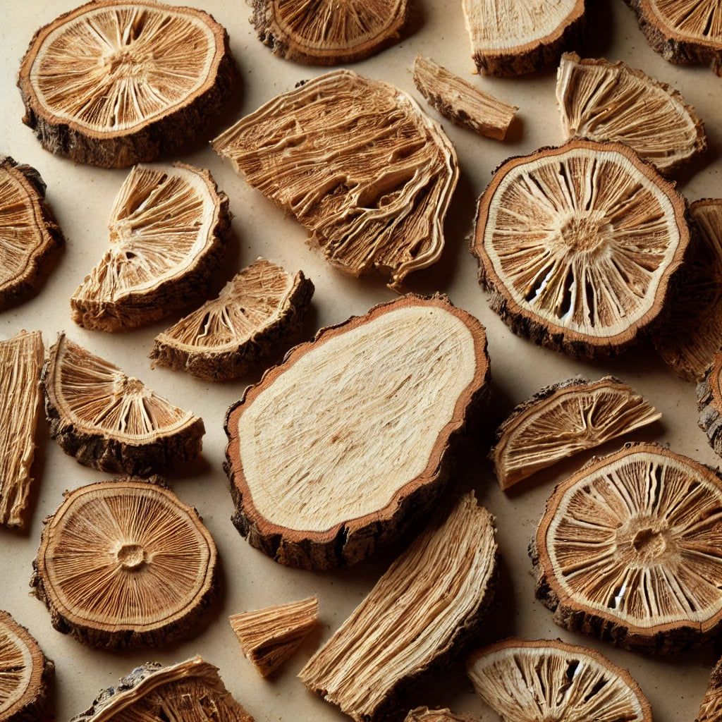 Scirpus Rhizome Slice (Sparganium Stoloniferum)