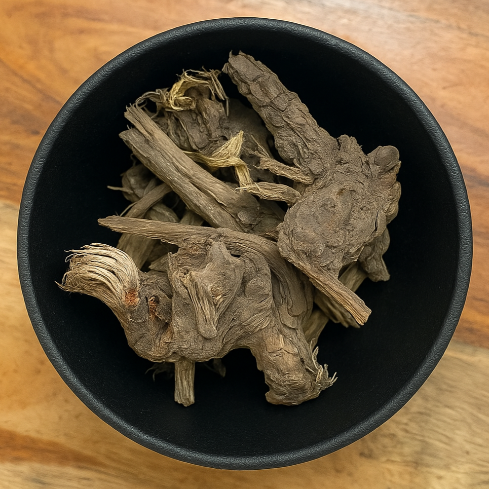 Spikenard Root Whole (Aralia racemosa)