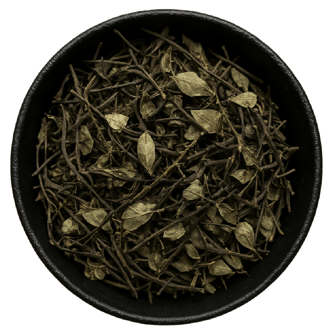 Star Jasmine Stem Whole (Trachelospermum Jasminoides)