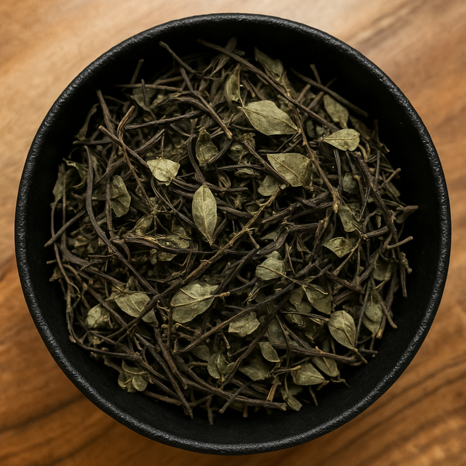 Star Jasmine Stem Whole (Trachelospermum Jasminoides)