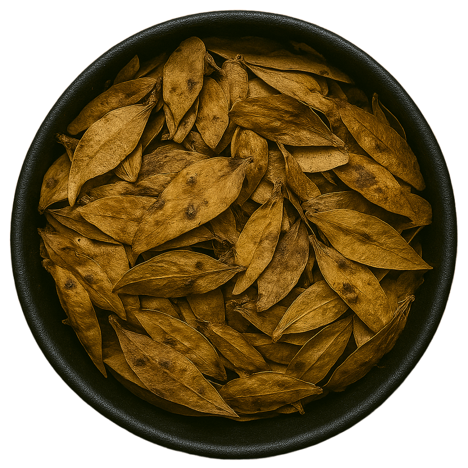 (Background Removed)