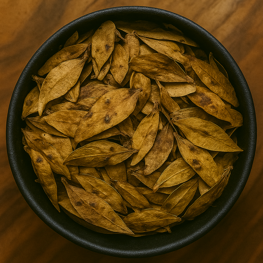 Tree of Heaven Fruit Whole (Ailanthus Altissima)