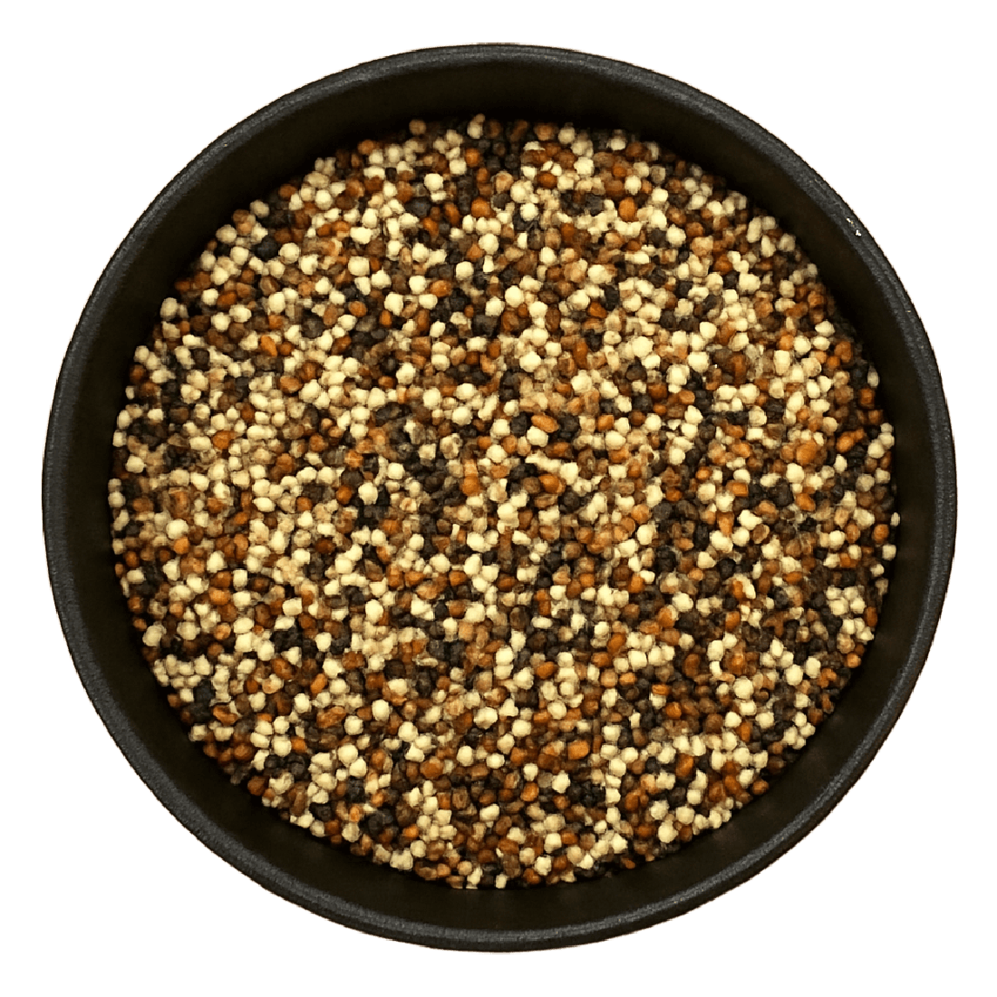 Tri-Color Quinoa Seed Whole (Chenopodium Quinoa)