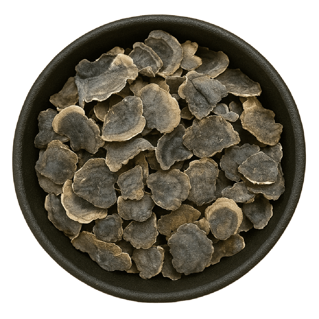 Turkey Tail Mushroom Cut (Trametes Versicolor)