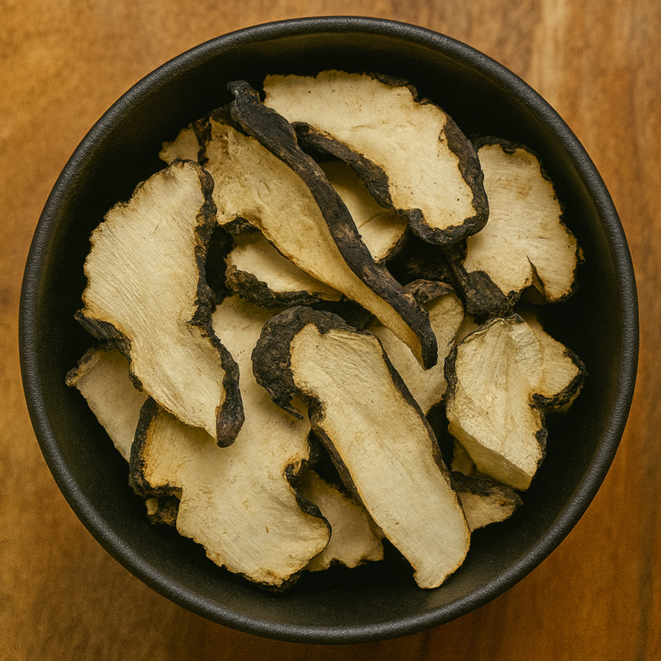 Umbrella Polypore Mushroom Whole (Polyporus Umbellatus)