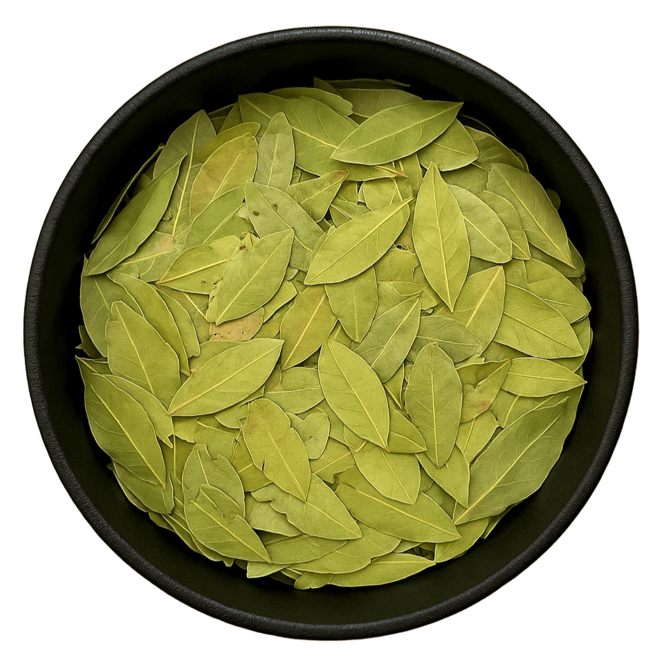 (Background Removed)