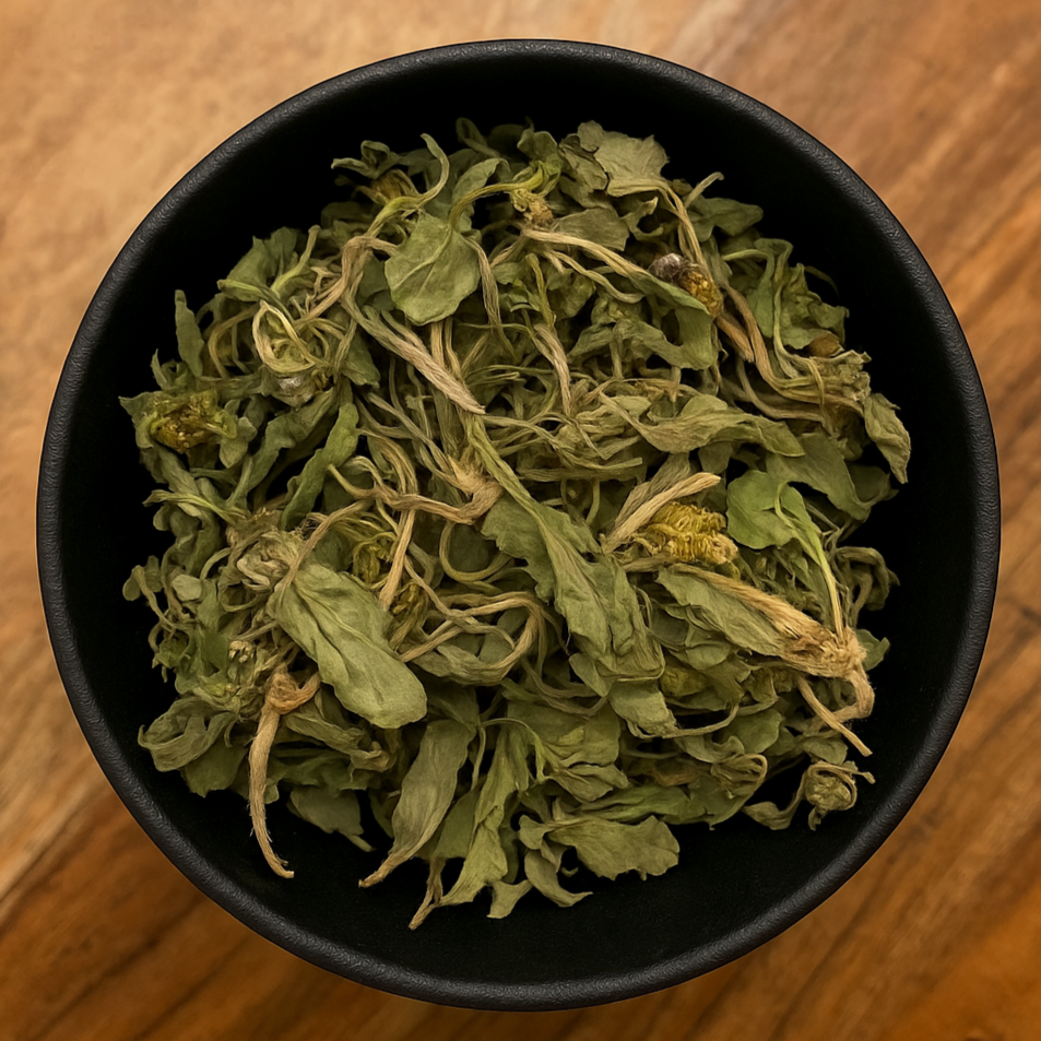 Uva Ursi Leaf Whole (Arctostaphylos Uva Ursi)