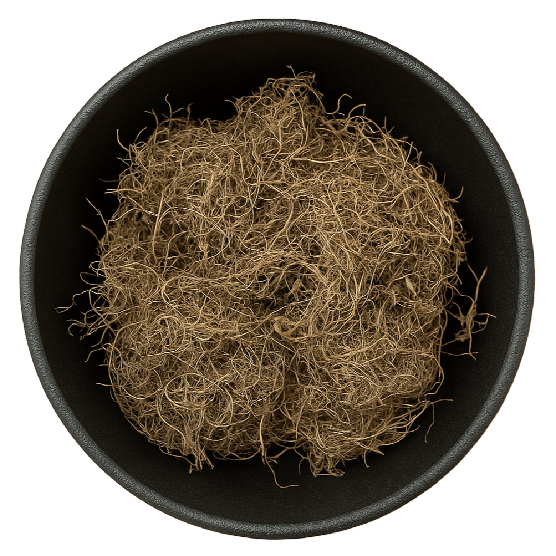 Virginia Snake Root Whole (Aristolochia Serpentaria)