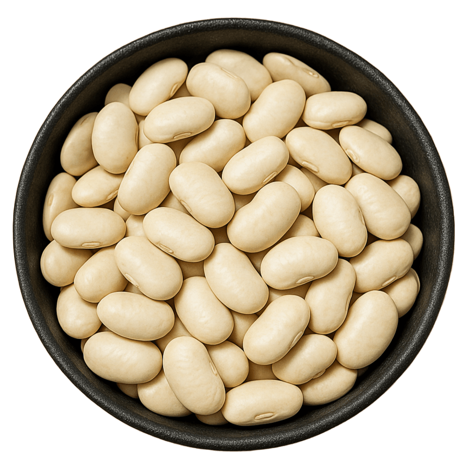 (Background Removed)