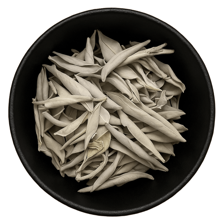 (Background Removed)