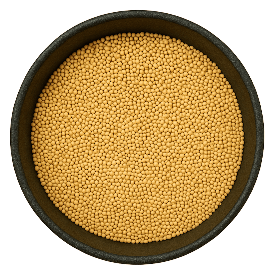 (Background Removed)