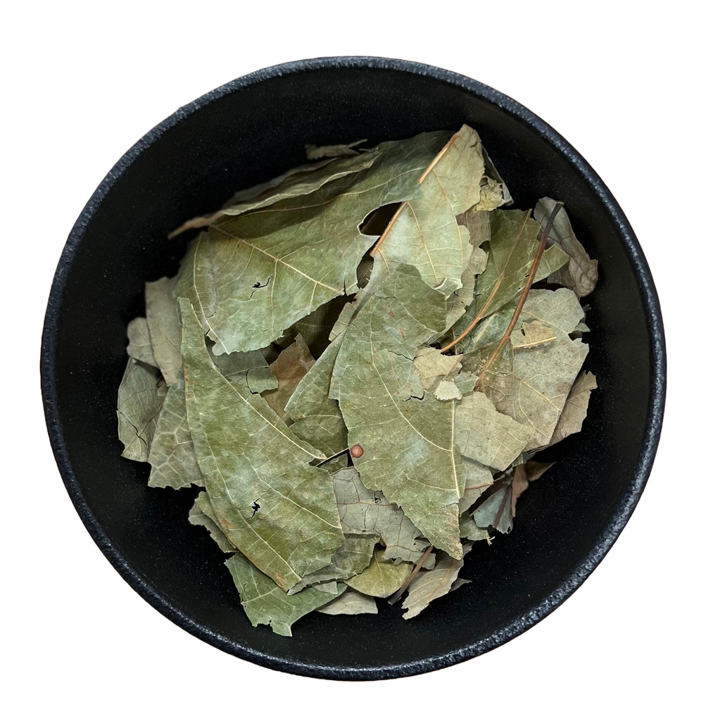 Sassafras Leaf Whole (Sassafras Albidium)