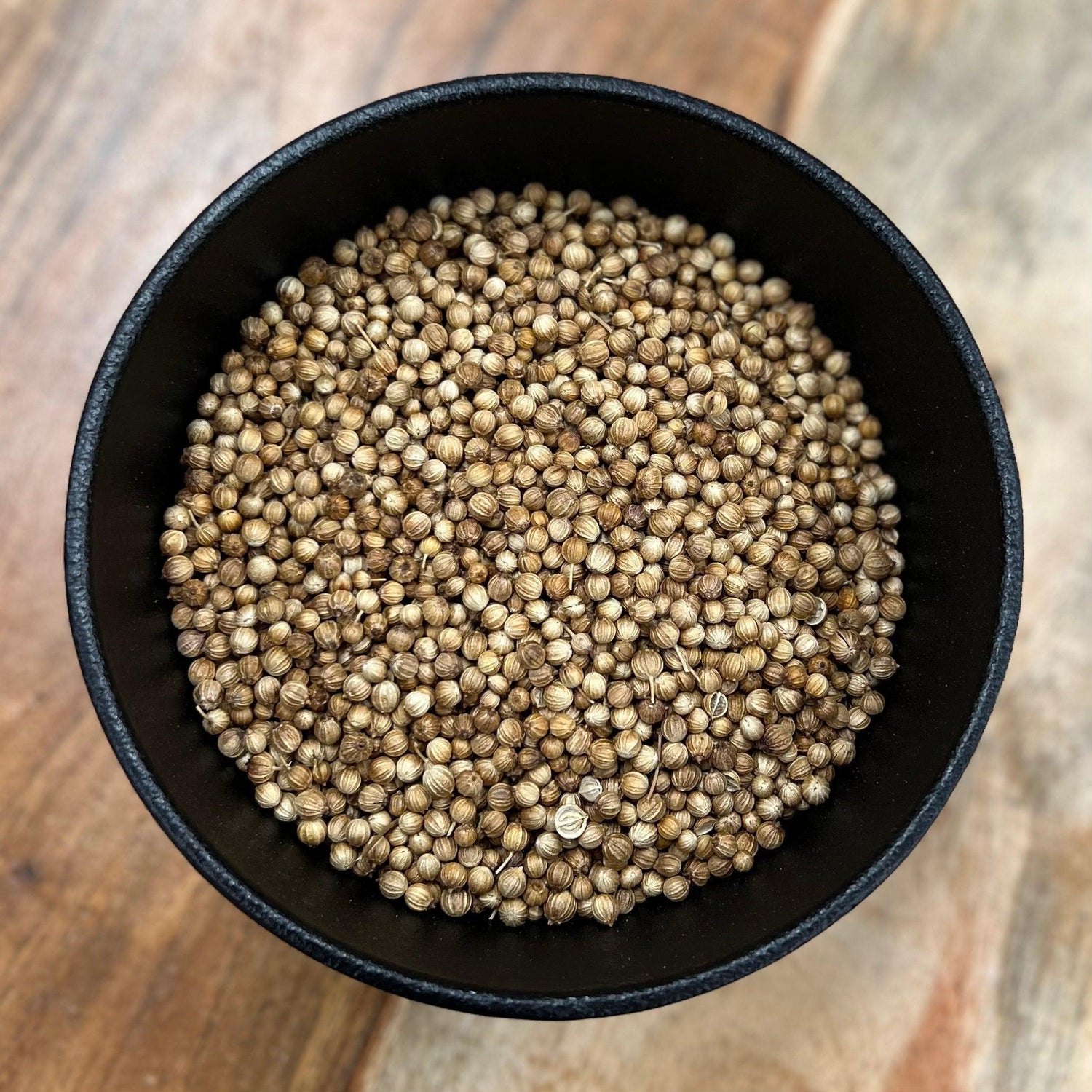 Coriander Seed Whole (Coriandrum sativum)
