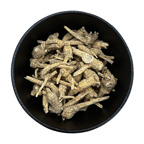 Ginseng Root Whole (Panax Quinquefolium, USA)