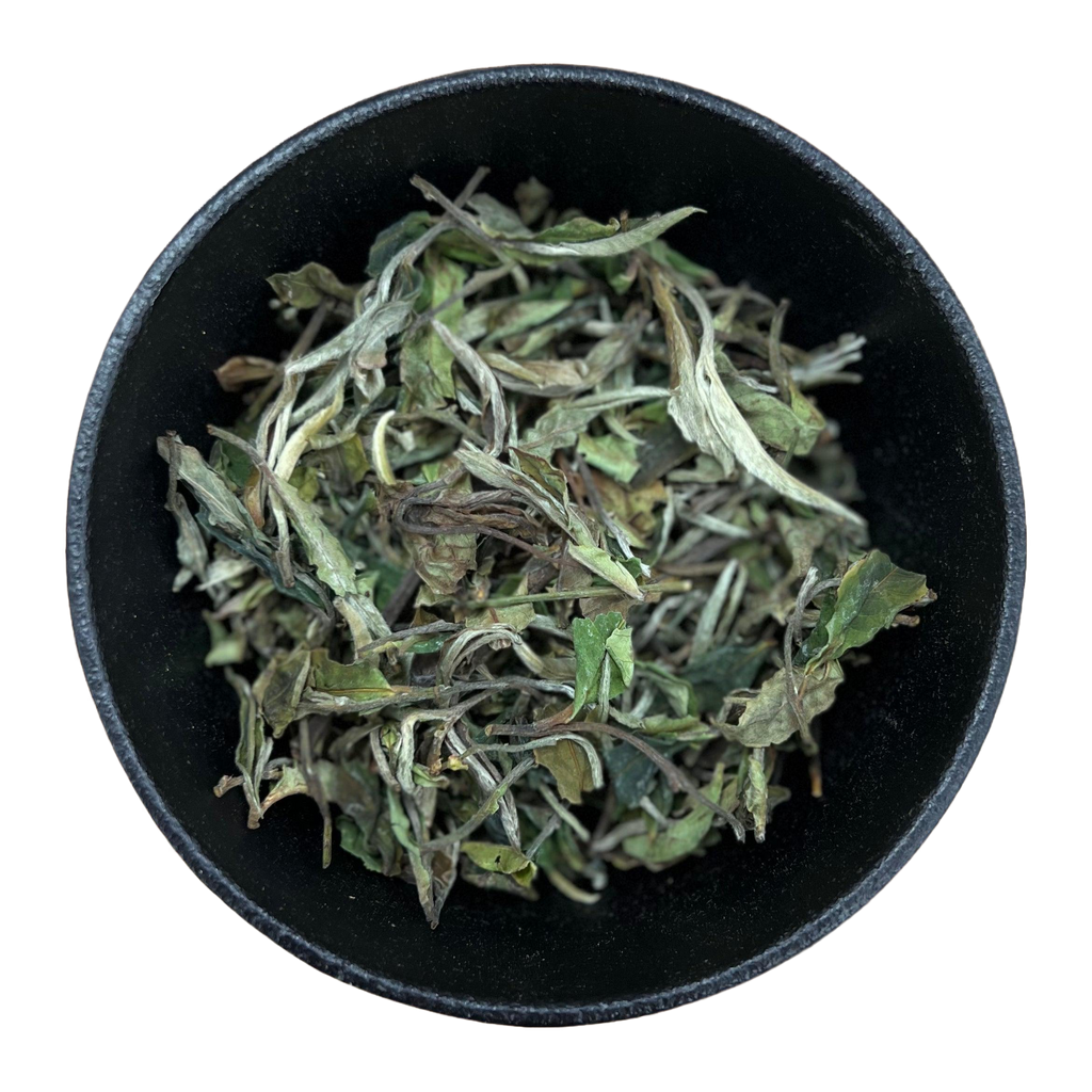 Bai Mu Dan White Tea (Camellia Sinensis)