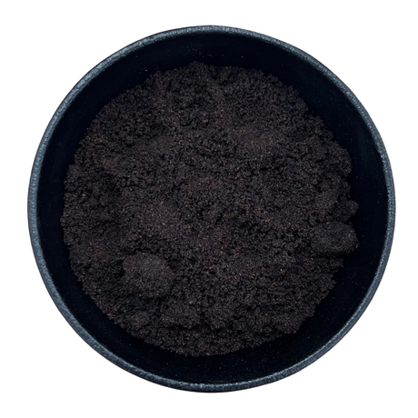 Elder Berries Powder (Sambucus Nigra)