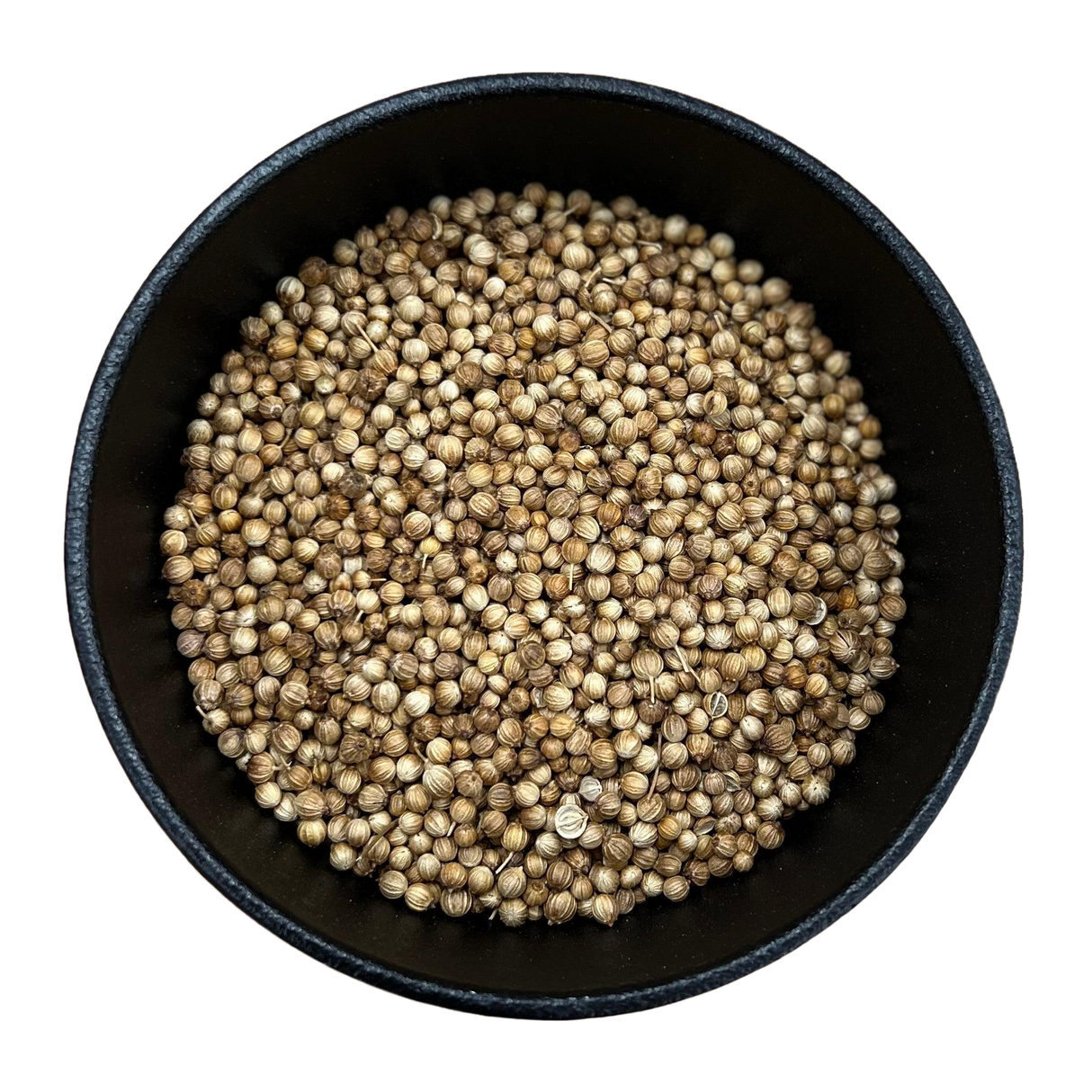 Coriander Seed Whole (Coriandrum sativum)