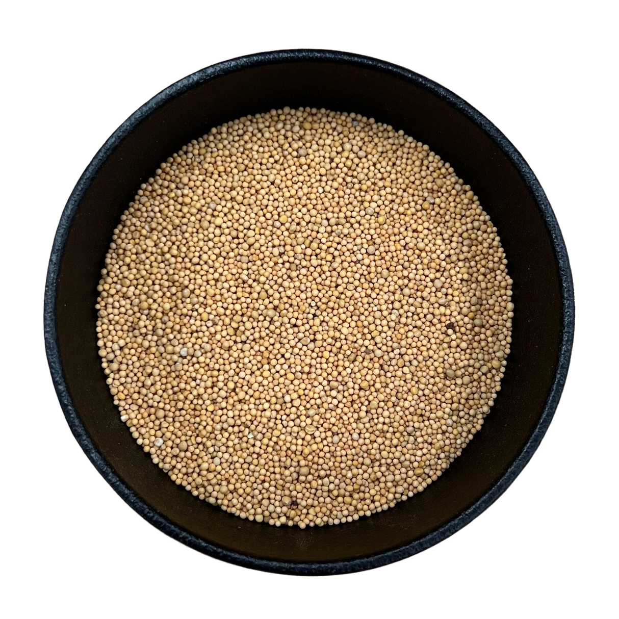 Yellow Mustard Seed Whole (Sinapis alba)