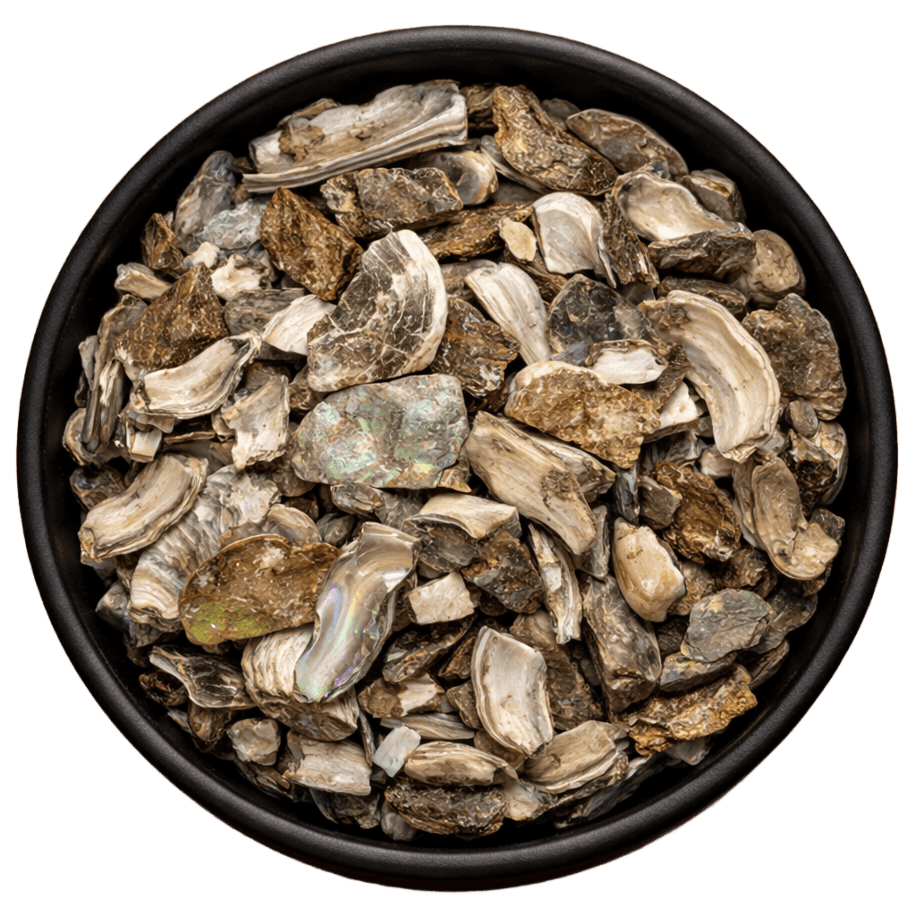  (Background Removed)