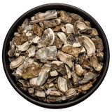  (Background Removed)