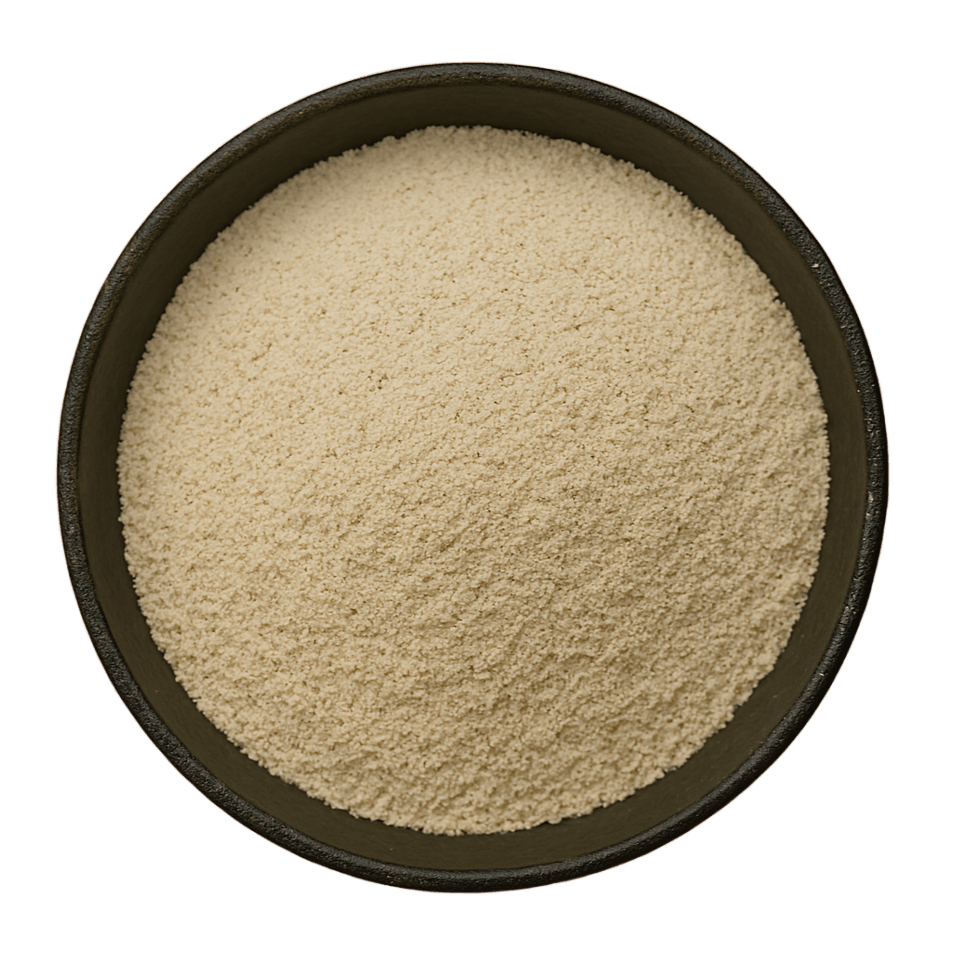  (Background Removed)