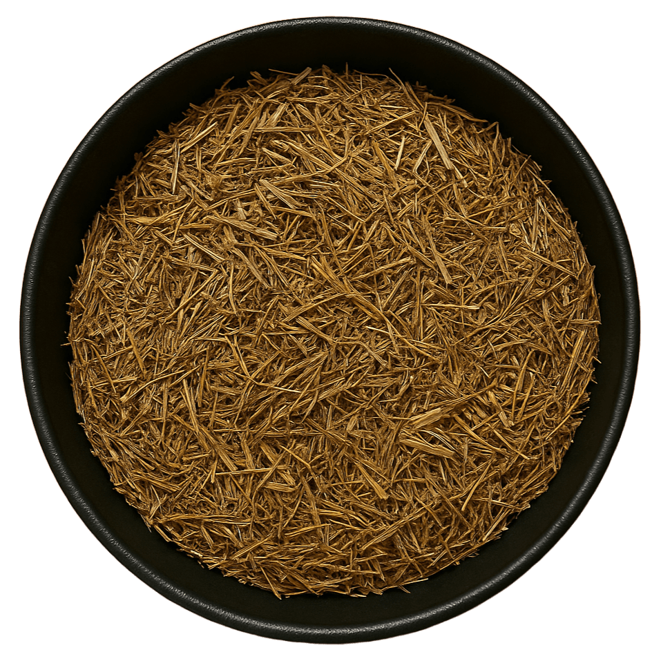  (Background Removed)