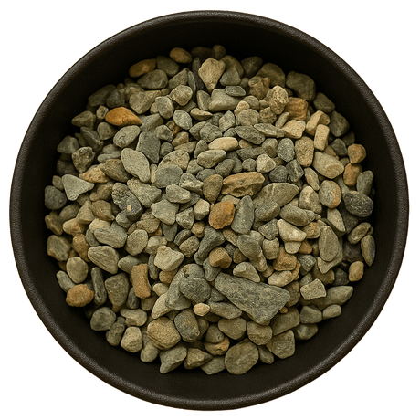  (Background Removed)