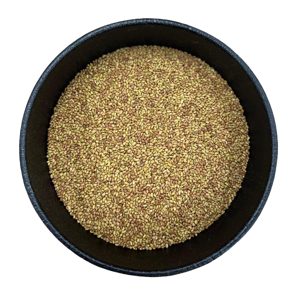 Alfalfa Seed Whole (Medicago Sativa)